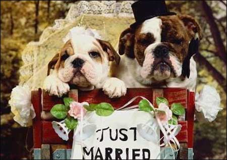 Just married.