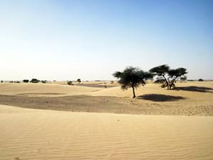 Dust from farming may affect rainfall