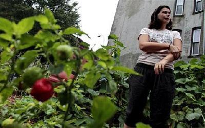 Community gardens grow green space in New York City