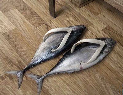 Slipper or fish