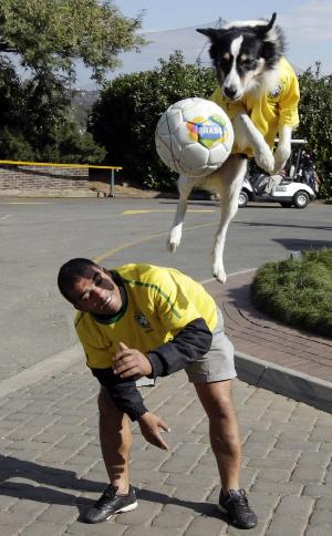 A dog plays soccer