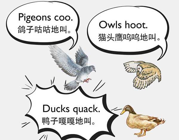 自然界中有各種聲音 如何用英語來描述動物的叫聲？