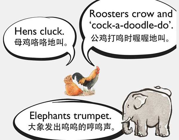 自然界中有各種聲音 如何用英語來描述動物的叫聲？