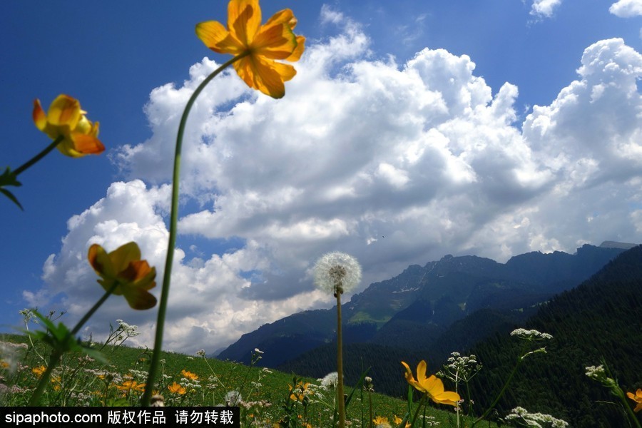 藍天白云刷屏！盤點風清日朗的絕美風光 為眼睛降溫