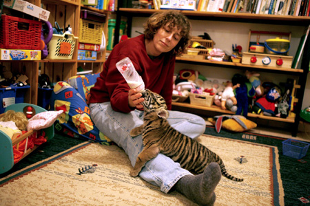 Baby girl plays with Sumatran tiger cub