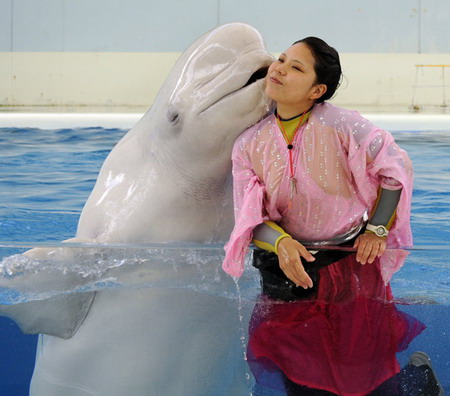 Dance with belugas