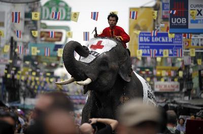 Thai elephants collect money for Haiti